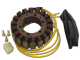 Stator - CARG1101