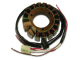 Stator - CARG451 (21003-1121, 21003-1170, 21003-1110, 21003-1130, 21003-1255)