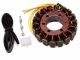 Stator - CARG541