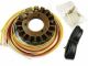 Stator - CARG831